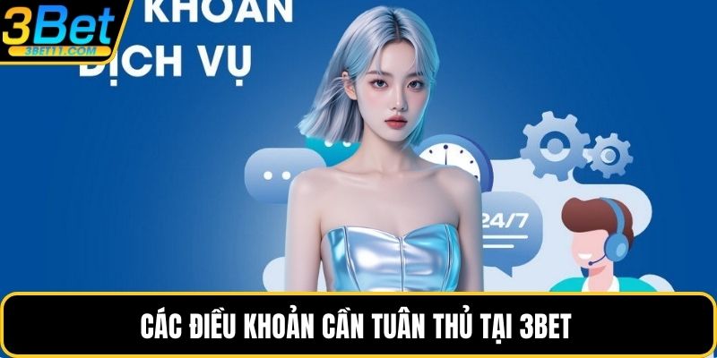 Các điều khoản cần tuân thủ tại 3BET 