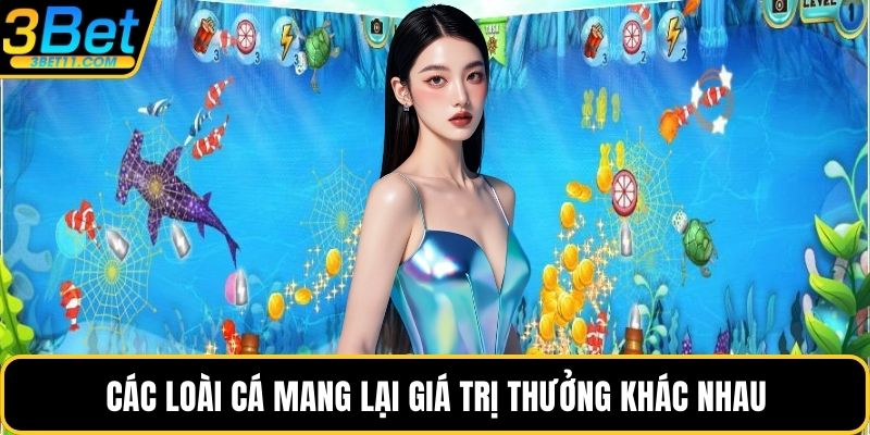 Các loài cá mang lại giá trị thưởng khác nhau