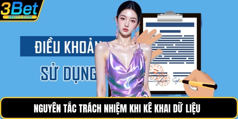 Nguyên tắc trách nhiệm khi kê khai dữ liệu  